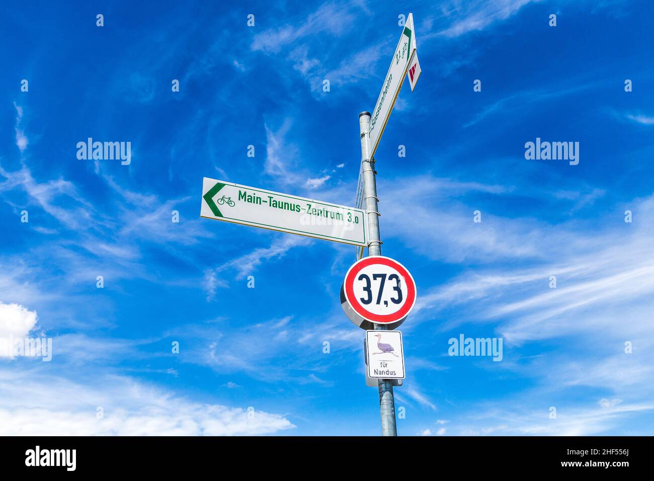 Señal de la calle para nandus bajo el cielo azul en Alemania Foto de stock