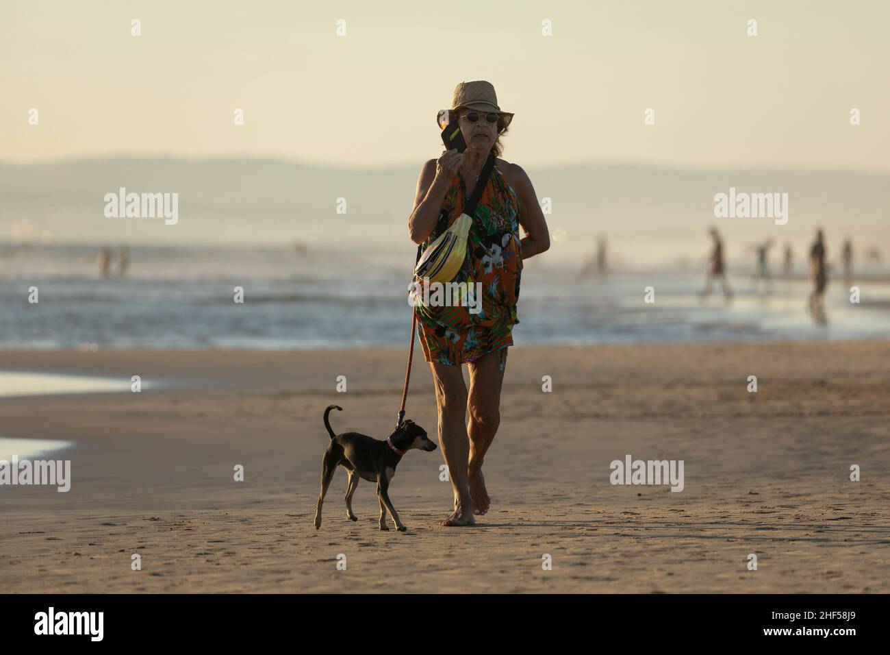 Zahara de los Atunes, España-03 de septiembre de 2021: Una mujer adulta  camina al perro por la playa, al atardecer, mientras habla por el teléfono  móvil, provincia de Cádiz Fotografía de stock -