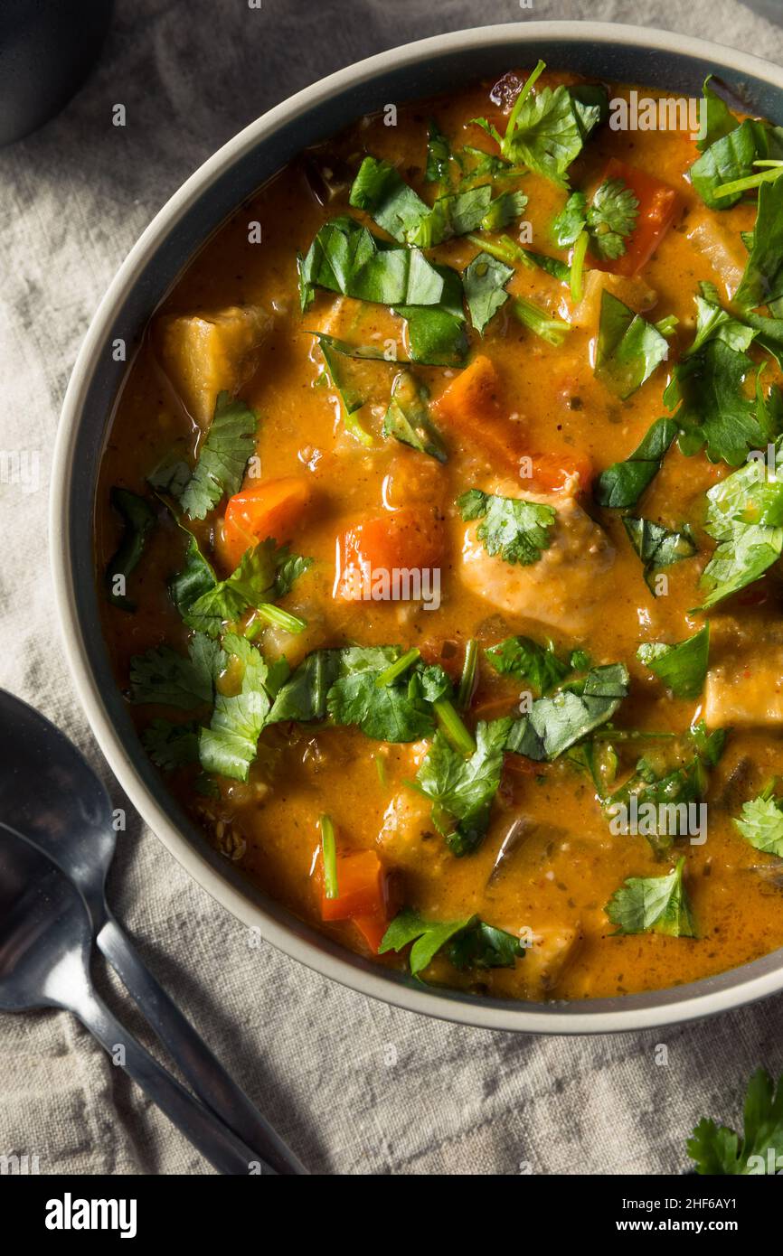 Curry de pollo rojo casero con cilantro y arroz Foto de stock