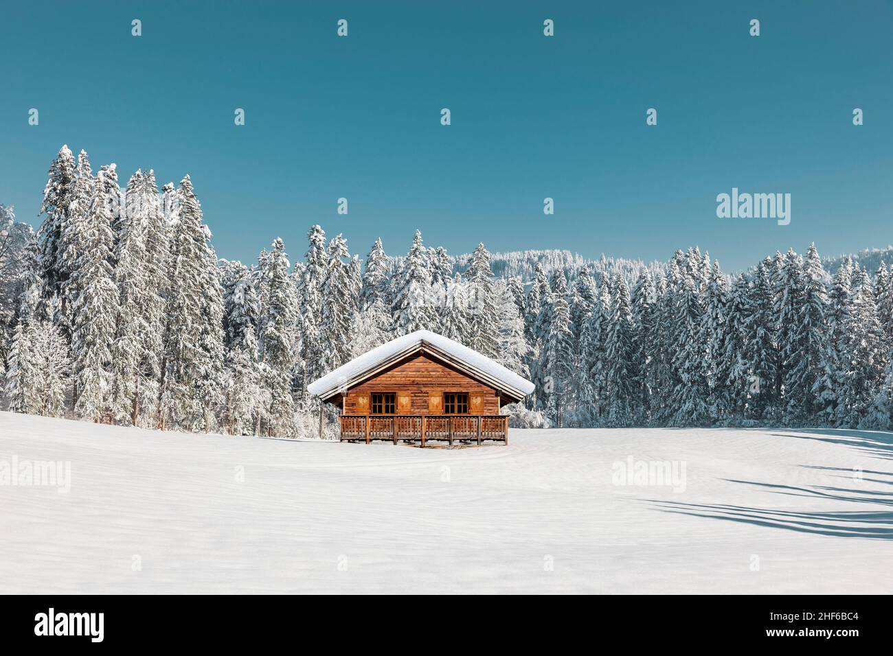 Cabaña de montaña en un bosque nevado Foto de stock