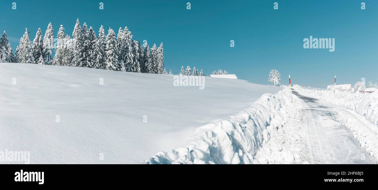 Paisaje nevado con carretera y bosque de abetos Foto de stock
