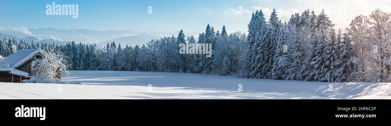 Paisaje nevado con un bosque de abetos nevados y una granja Foto de stock