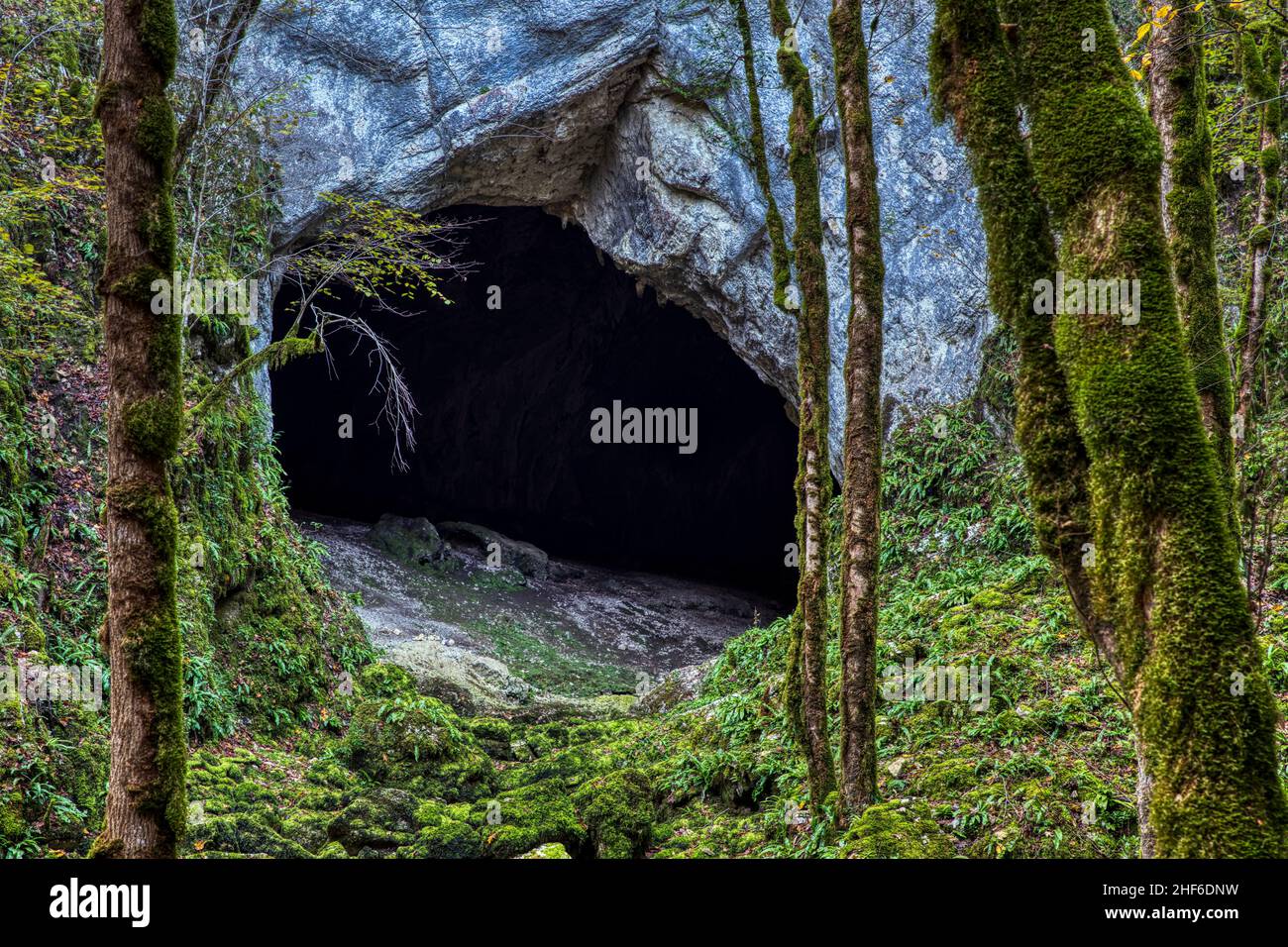 Cueva de estalactitas en Francia, Baume Archee Foto de stock