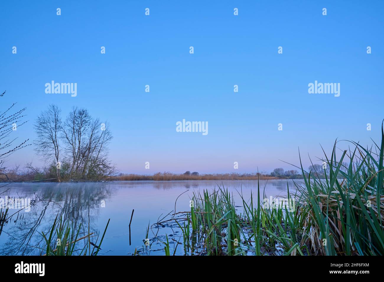 Lago, cielo, sin nubes, atardecer, primavera, Reserva Natural, Reinheimer Teich, Reinheim, Hesse, Alemania Foto de stock