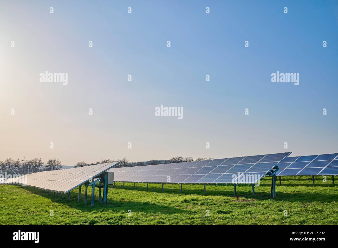 Campo solar, energía solar, energía renovable, cielo, sin nubes, sol Foto de stock