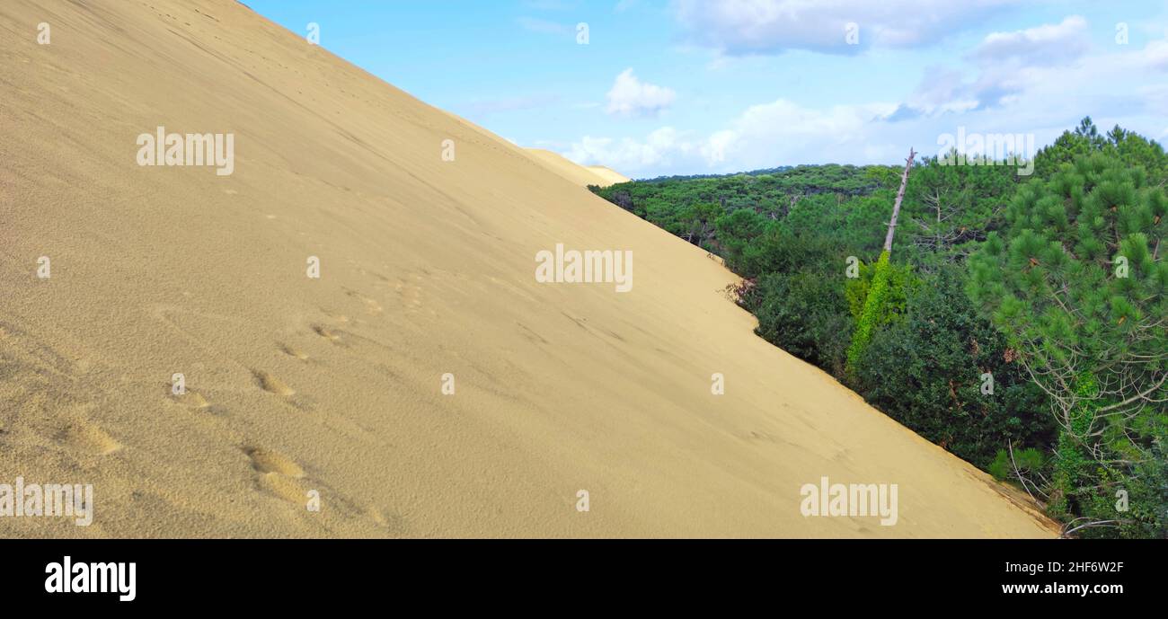 La Dune du Pilat (también Grande Dune du Pilat) en la costa atlántica cerca de Arcachon (Francia) es la duna migratoria más alta de Europa. Tiene un curso norte-sur y tiene hasta 110 metros de altura (81 metros según datos de la SRTM), 500 metros de ancho, unos 2,7 kilómetros de largo (volumen estimado de 60 millones de metros cúbicos) y se encuentra en la abertura del mar de la Bassin d ' Arcachon Foto de stock