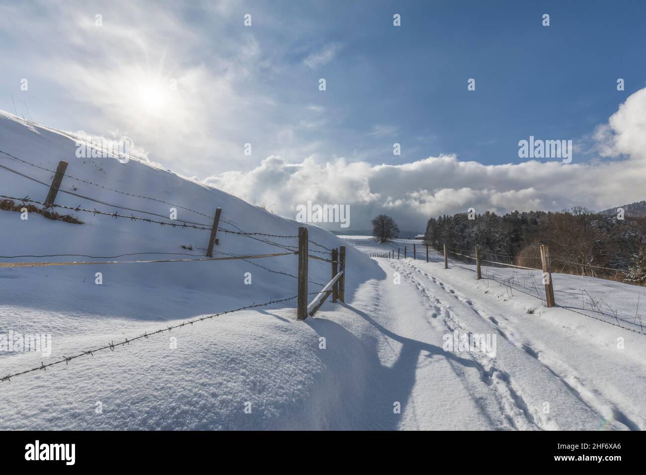 Sendero nevado en los alrededores de Höglwörth, Rupertiwinkel, Alta Baviera, Alemania Foto de stock