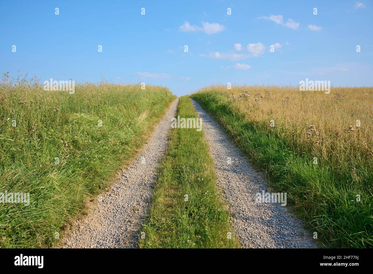 Camino de tierra, campo de avena, verano, Miltenberg, Spessart, Baviera, Alemania Foto de stock
