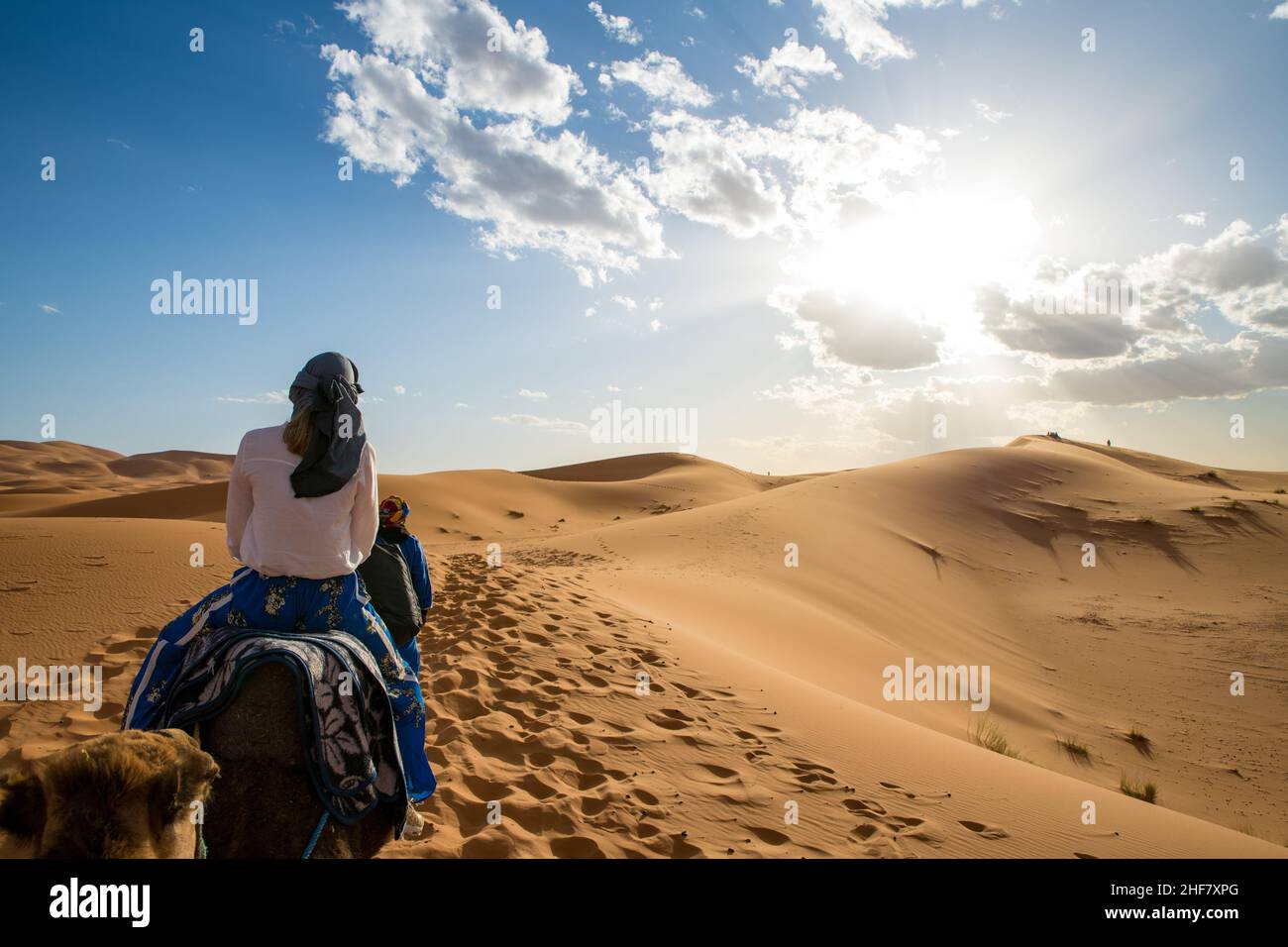 Niña vistiendo pañuelo en la cabeza montando un dromedario a través del  desierto erg chebbi Sahara en Marruecos Fotografía de stock - Alamy