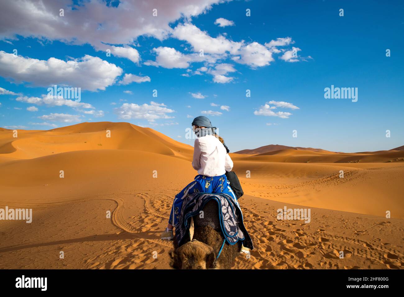 Chica joven con pañuelo y gafas de sol montando un dromedario a través del  desierto erg chebbi Sahara en Marruecos Fotografía de stock - Alamy