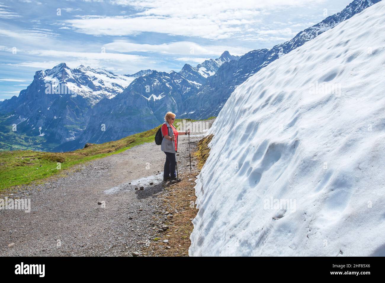 Restos de nieve en la ruta de senderismo a Kleine Scheidegg con Wetterhorn 3692m, Grindelwald, Alpes berneses, Oberland bernés, Cantón de Berna, Suiza Foto de stock