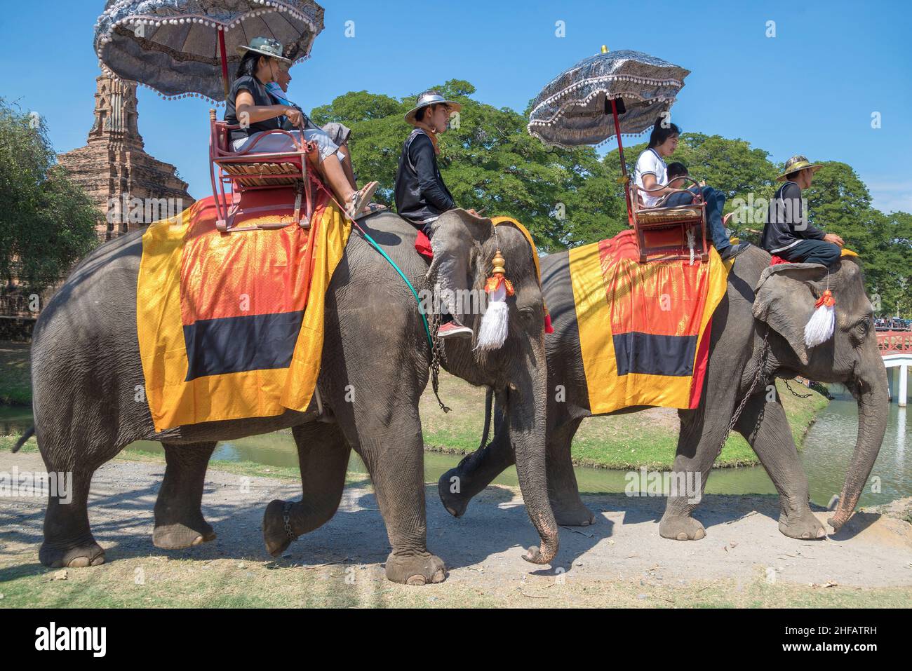 AYUTTHAYA, TAILANDIA - 01 DE ENERO de 2017: Trekking en elefante en el centro histórico de la ciudad de Ayutthaya Foto de stock