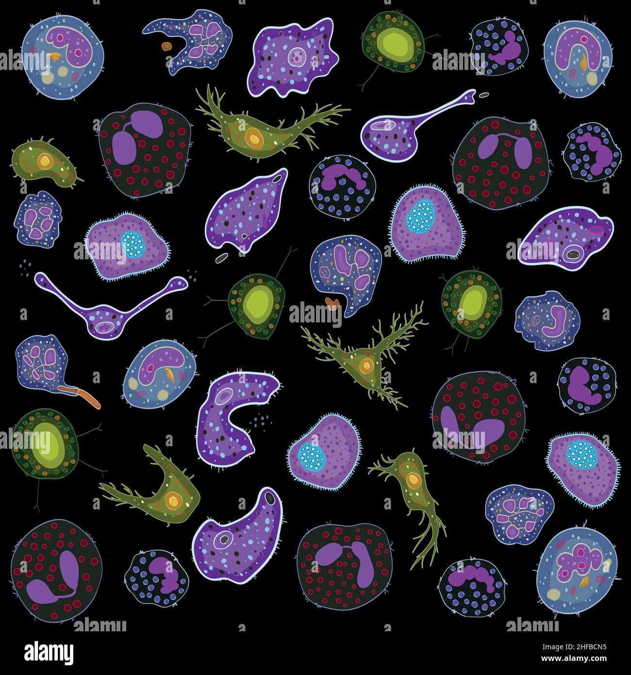 Conjunto De Células Del Sistema Inmune Innatas Ilustración Vectorial