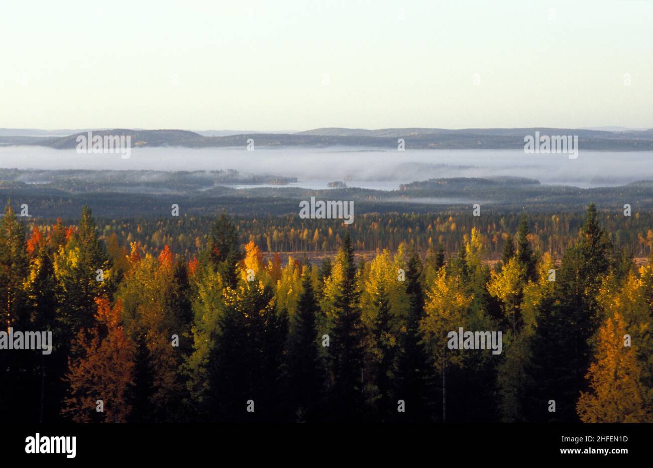 Vastos bosques en otoño, colores de otoño. Colinas, madera y sol. Analógico. Antes de la era de los molinos de viento industriales. Foto de stock