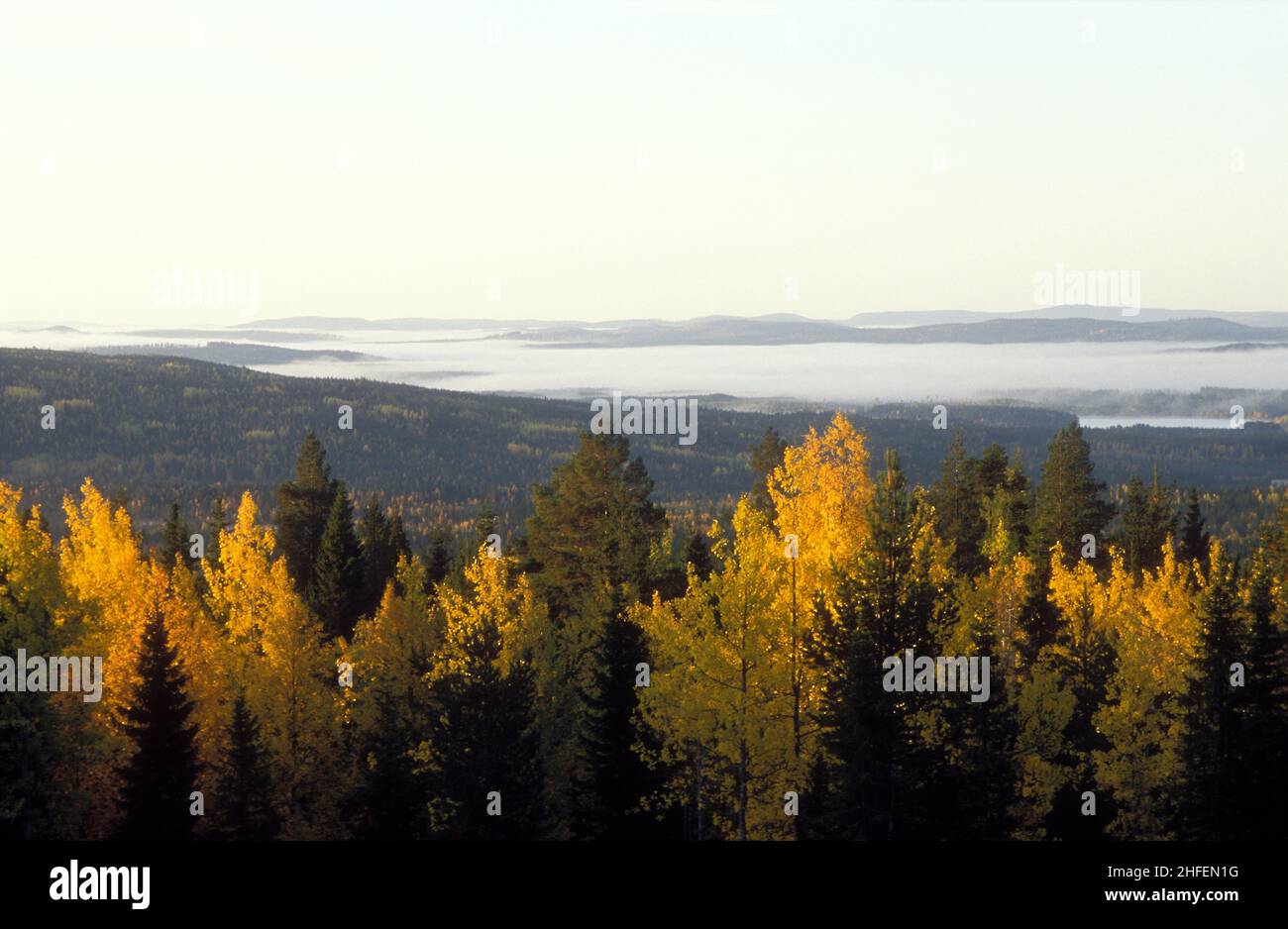 Vastos bosques en otoño, colores de otoño. Colinas, madera y sol. Analógico. Antes de la era de los molinos de viento industriales. Foto de stock