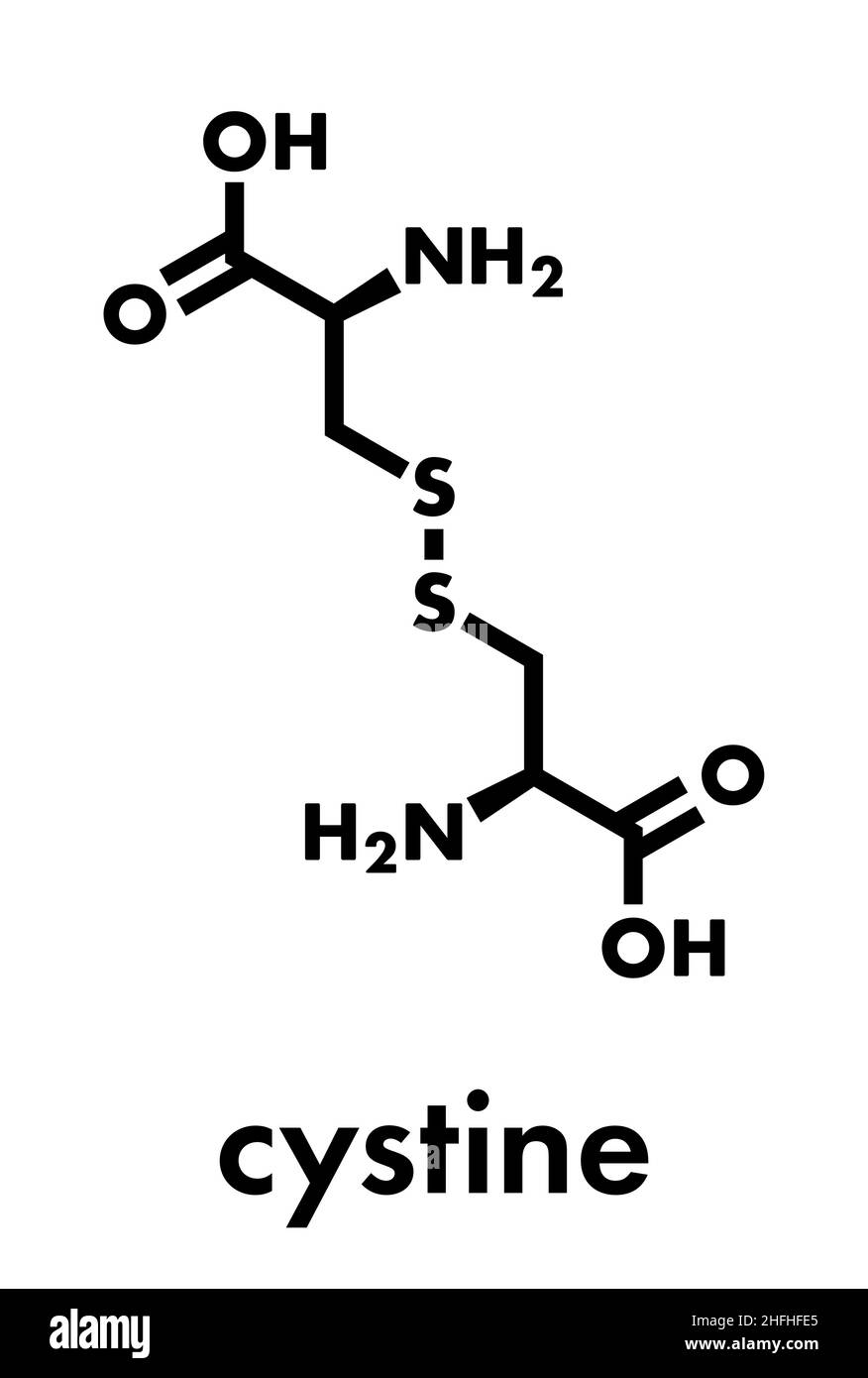 Molécula de cistina. El dímero oxidado del aminoácido cisteína. Fórmula