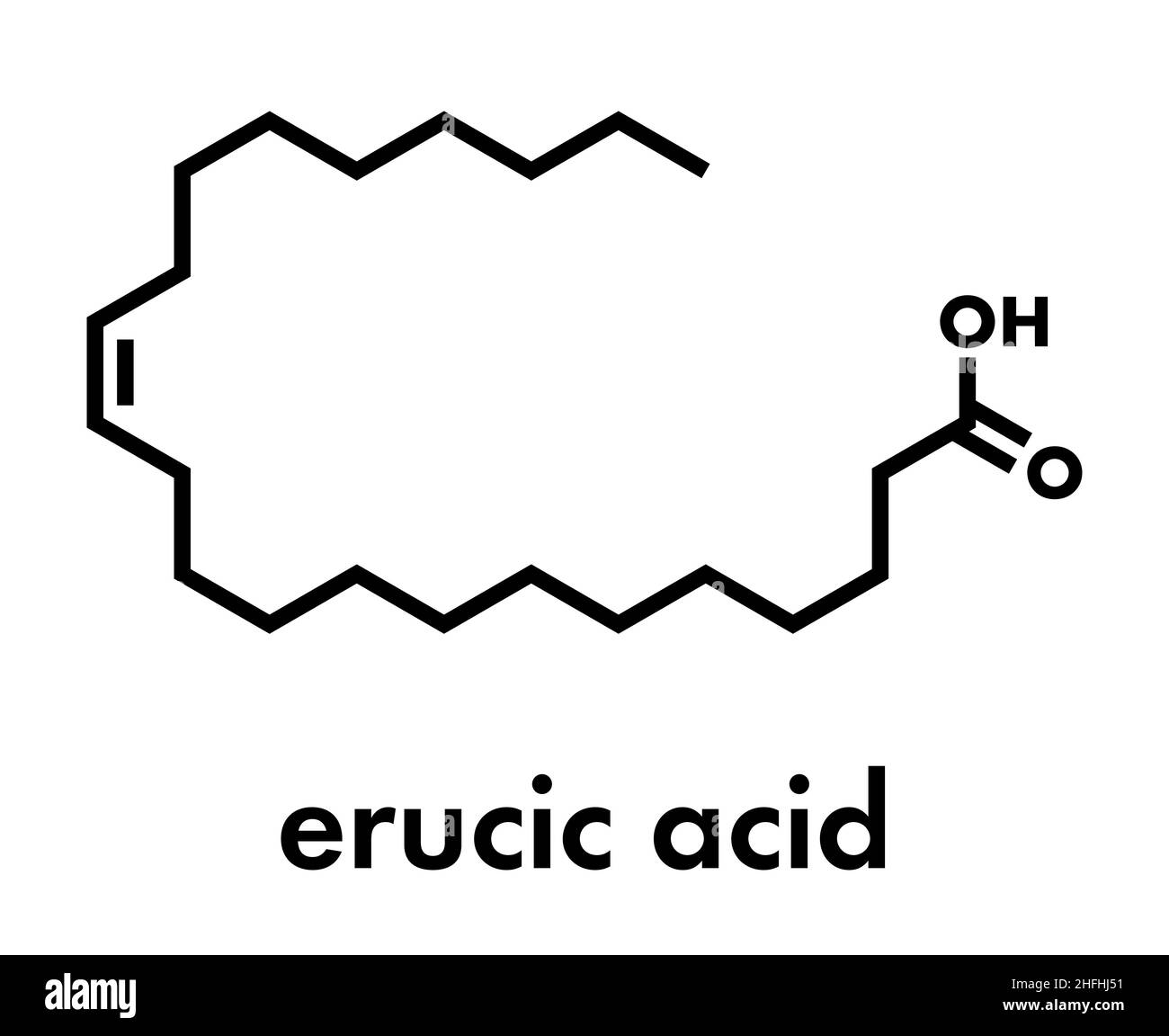 Molécula de ácido erúcico. Los ácidos grasos monoinsaturados omega9