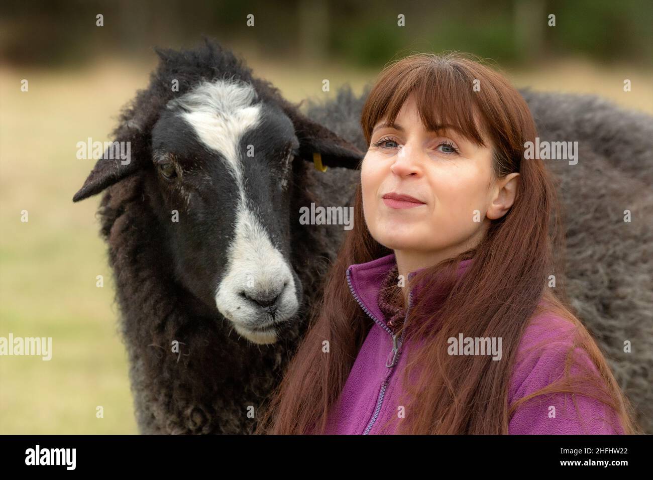 La Pastora Vegana. Imágenes de una mujer en el norte de Escocia que cuida de un pequeño rebaño de ovejas, muchas de las cuales tienen problemas de edad y salud. Foto de stock