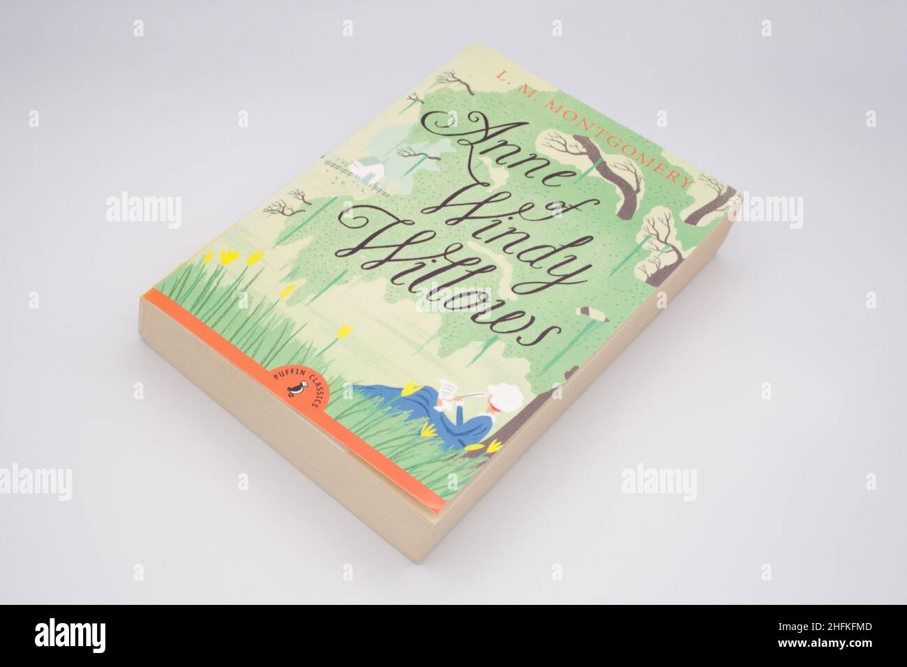 El clásico libro infantil, Anne of Windy Willows, de L M Montgomery Foto de stock