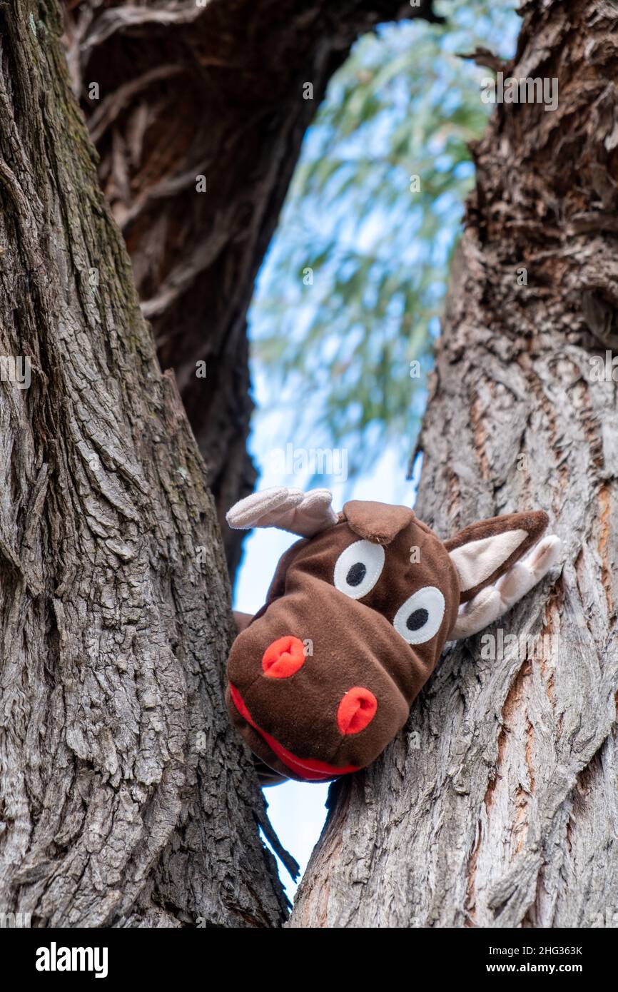 Peluche de peluche de Moose mirando entre las ramas del árbol Foto de stock
