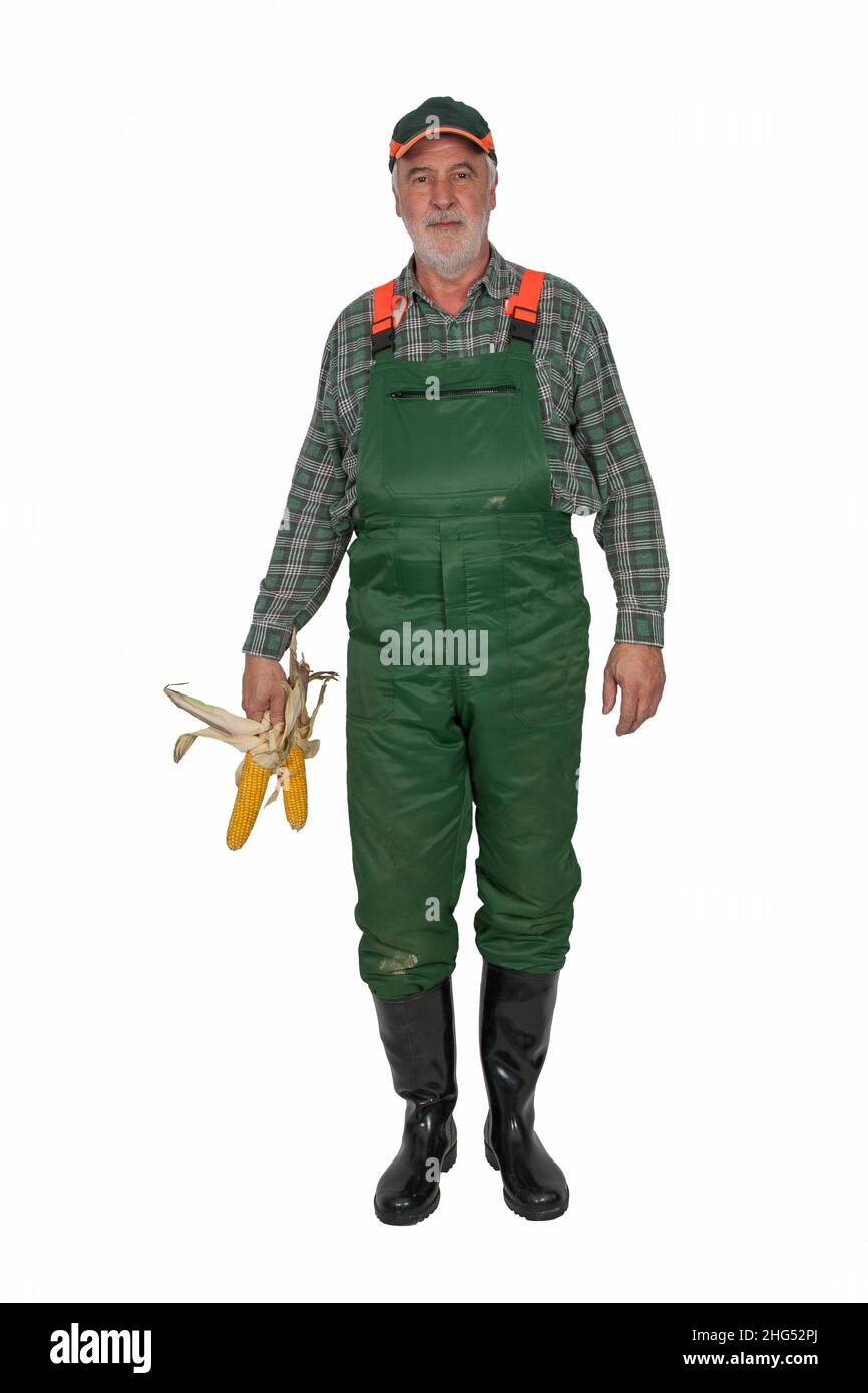 Granjero con peto verde y botas de goma negras sostiene en su mano dos  mazorcas de maíz Fotografía de stock - Alamy
