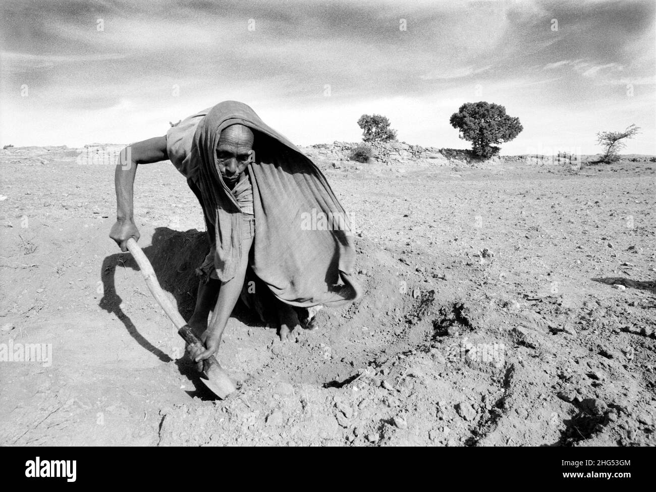 B/W de una mujer tigrayan excavando en la terraza tierras estériles para prevenir la erosión del suelo en un plan de alimentos por trabajo. Wukro, Tigray, Etiopía Foto de stock