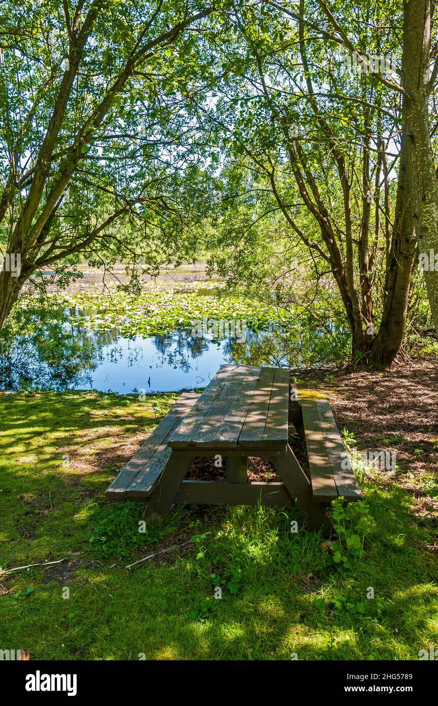 Una mesa de picnic de madera cerca del Lago Panther en Kent, Washington. Foto de stock