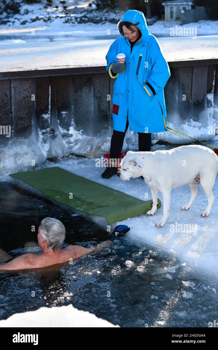 Perro observando a hombre flotando y agua fría nadando en invierno con agua helada en el agujero hecho en Kempenfelt Bay Lake Simcoe Barrie Ontario Foto de stock