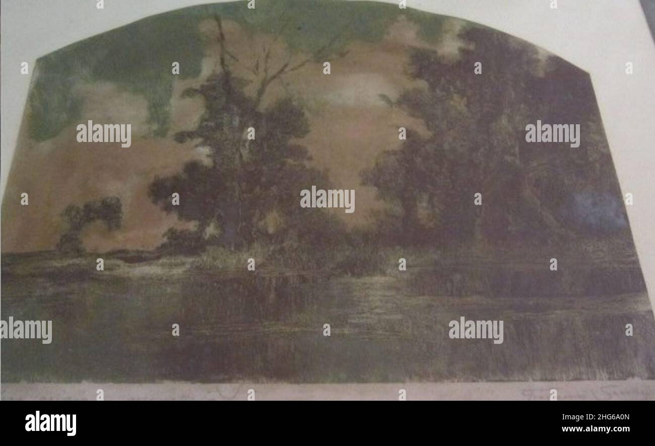 indigo bolsagage status