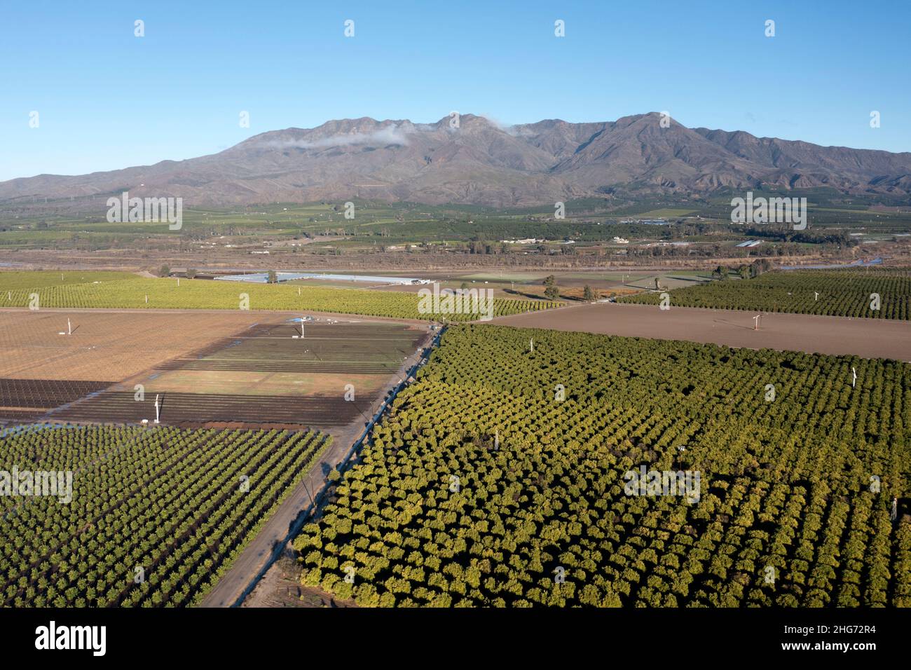 Huertos de naranjos y granjas en el Valle de Santa Clara en el Condado de Ventura, California desde el aire Foto de stock