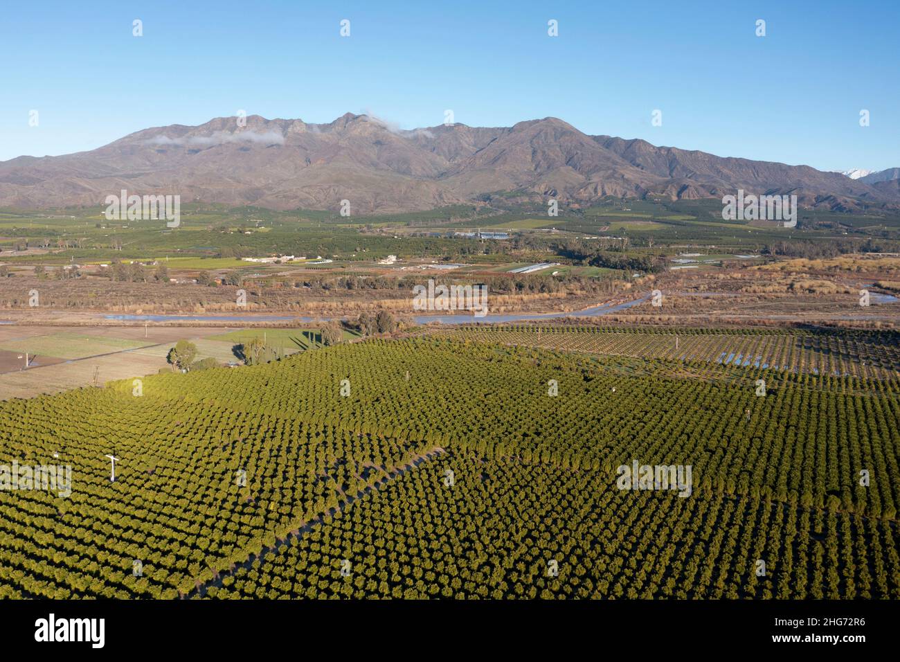 Huertos de naranjos y granjas en el Valle de Santa Clara en el Condado de Ventura, California desde el aire Foto de stock