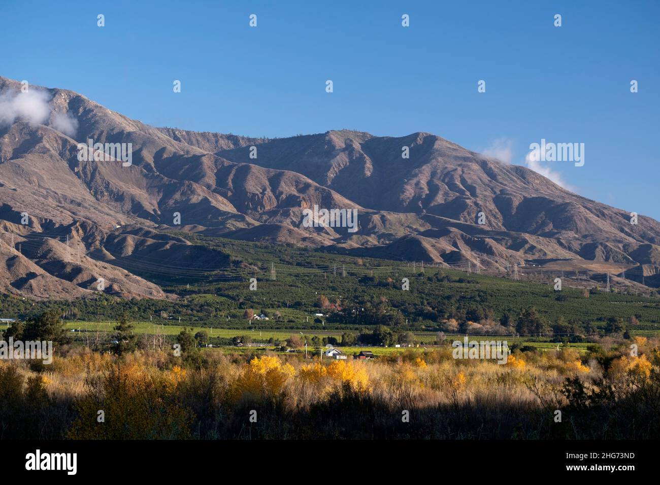 Huertos y montañas a lo largo del Valle del Río Santa Clara cerca de Santa Paula, California Foto de stock