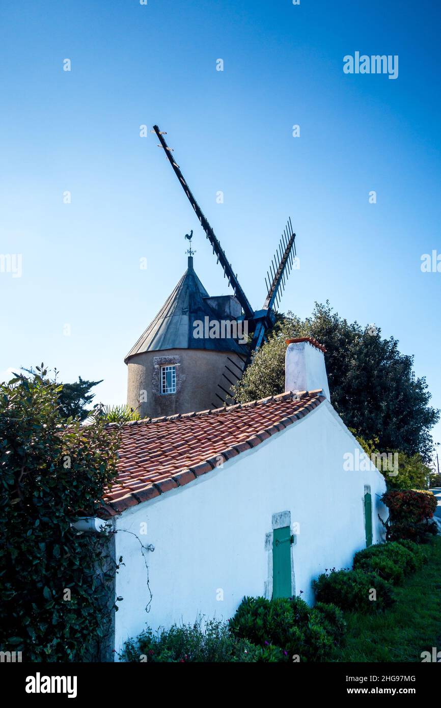 Antiguo molino de viento tradicional en la isla de Re, Francia Foto de stock