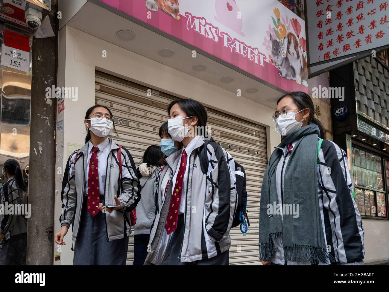 Hong Kong, China. 19th de Ene de 2022. Los peatones pasan por una tienda de  mascotas cerrada que vende hámsters en Hong Kong. Después de que un  empleado de la tienda de