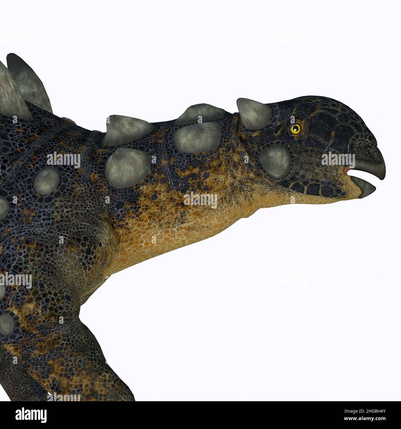 Euoplocephalus fue un dinosaurio anquilosaurio blindado que vivió en Alberta, Canadá durante el período Cretácico. Foto de stock