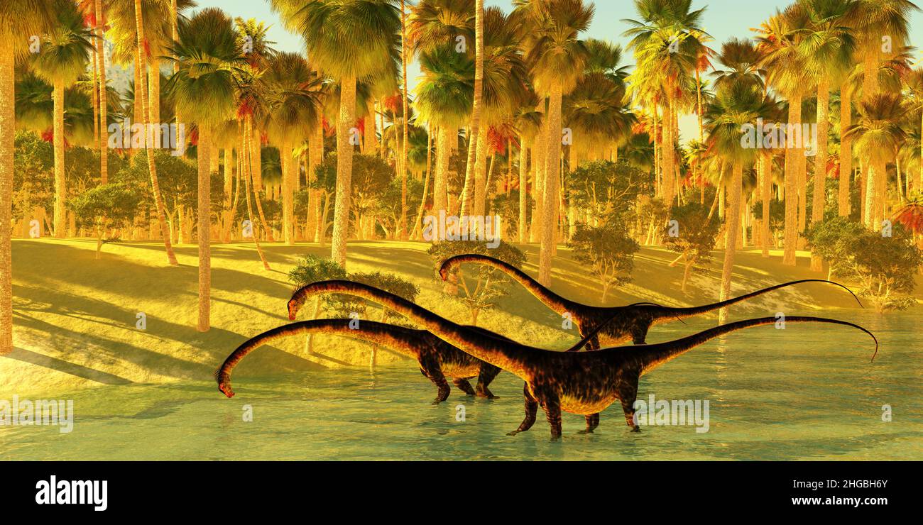 Los dinosaurios de Barosaurus bajan a un río de la selva para vadear y beber durante el período Jurásico de América del Norte. Foto de stock