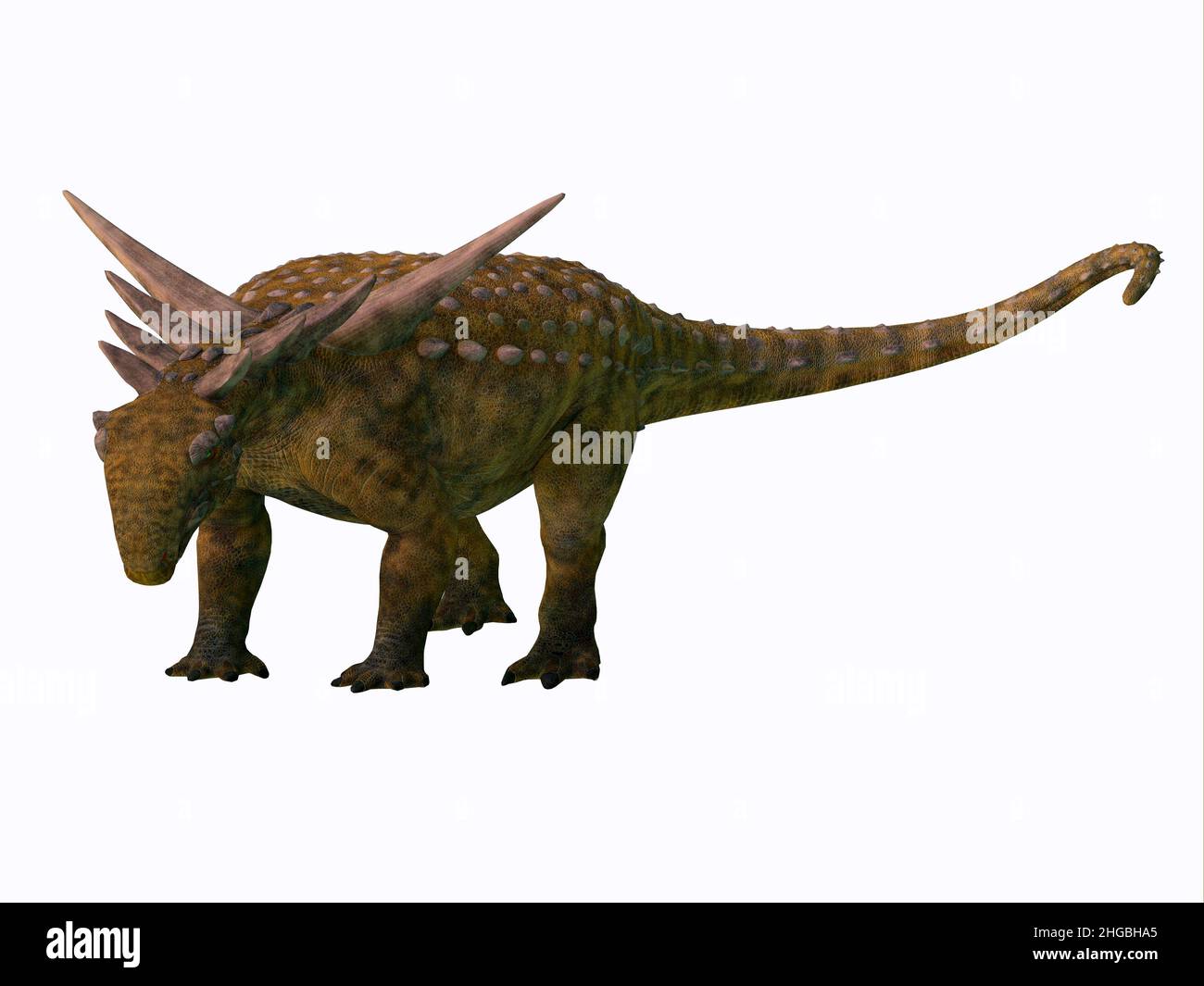Sauropelta era un dinosaurio de nodosauro herbívoro blindado que vivió en América del Norte durante el período Cretácico. Foto de stock