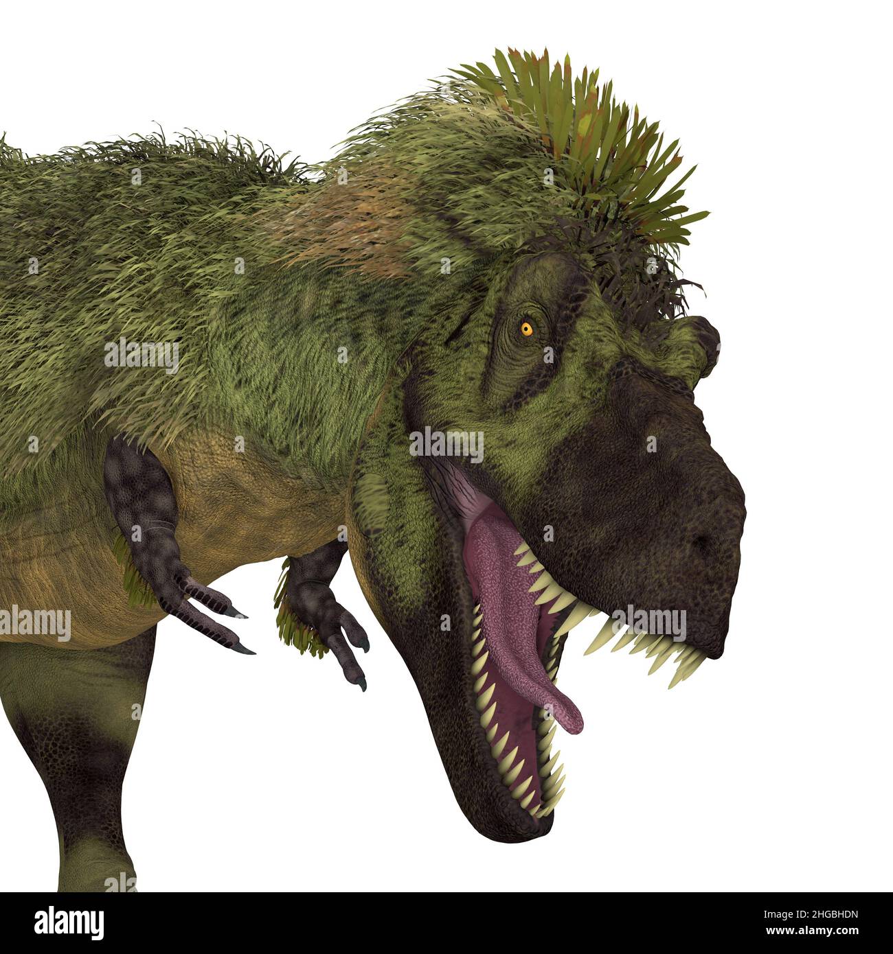 Tarbosaurus fue un dinosaurio con plumas carnívoras que vivió en Asia durante el período Cretácico. Foto de stock