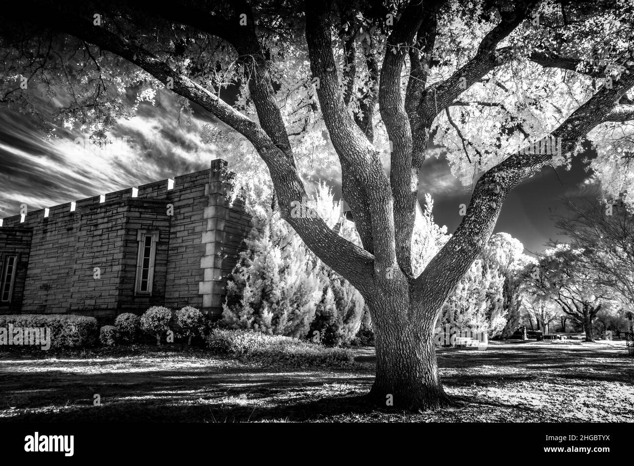 Fotografía infrarroja del paisaje del cementerio con una cripta y árboles. Uso de una cámara Nikon IR convertida. Foto de stock