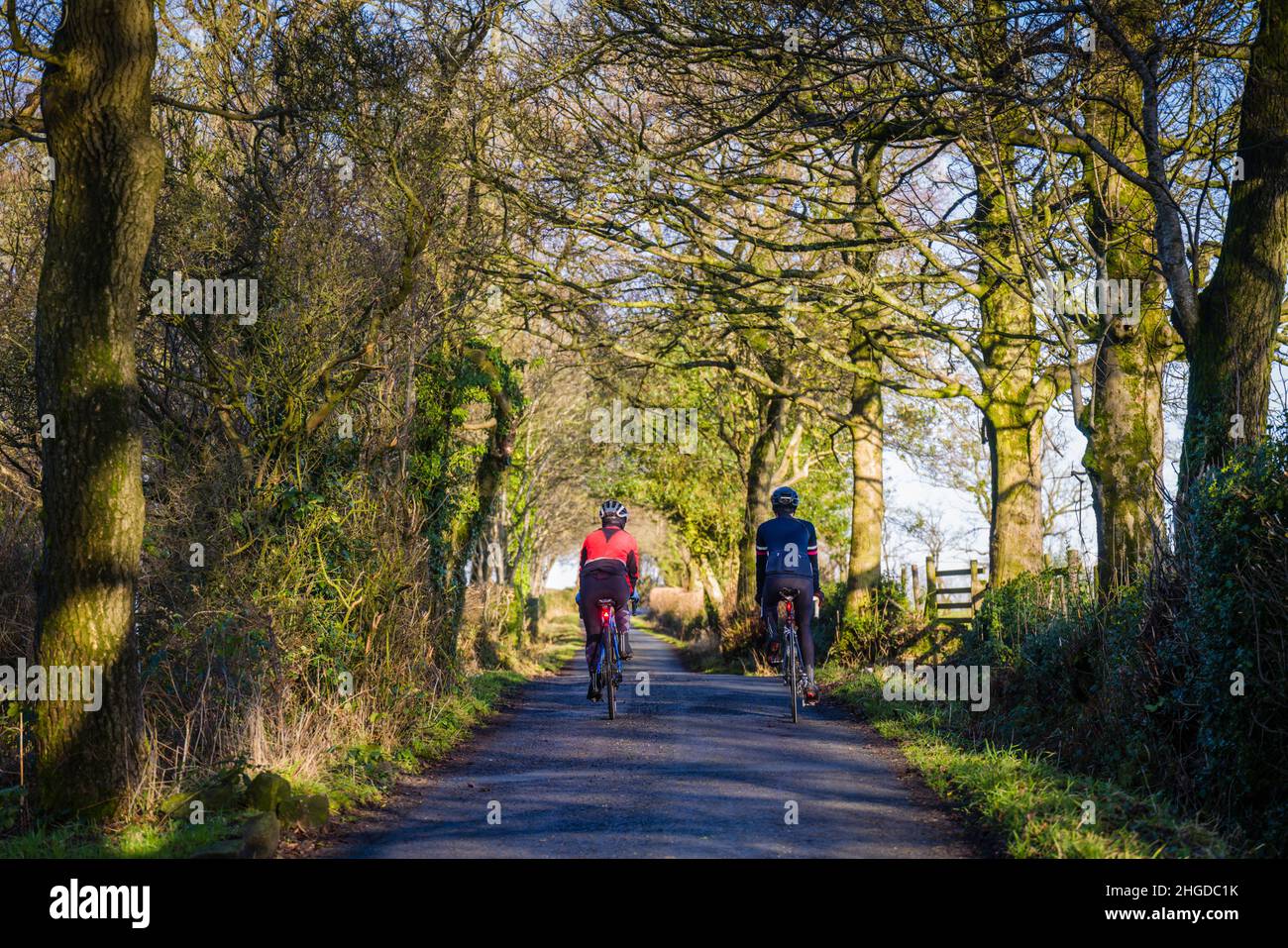 Madre e hijo en bicicleta por carreteras tranquilas en la zona de Bowland, Lancashire, Reino Unido. Foto de stock