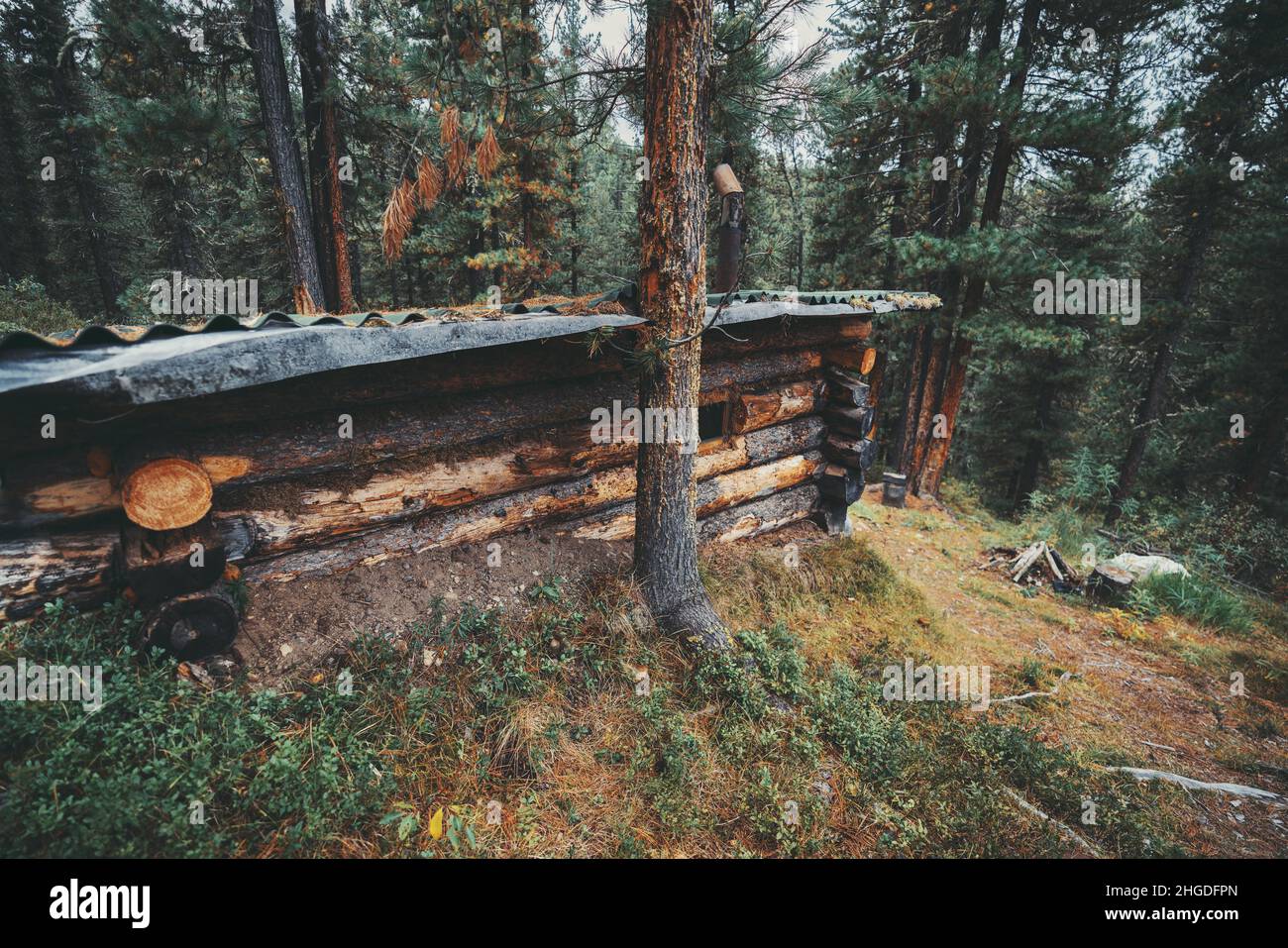 Vista lateral de una casa de madera subterránea en el bosque boreal. Una  cabaña de madera construida en la ladera de la montaña rodeada de grandes  pinos. Una pequeña cabaña ha Fotografía