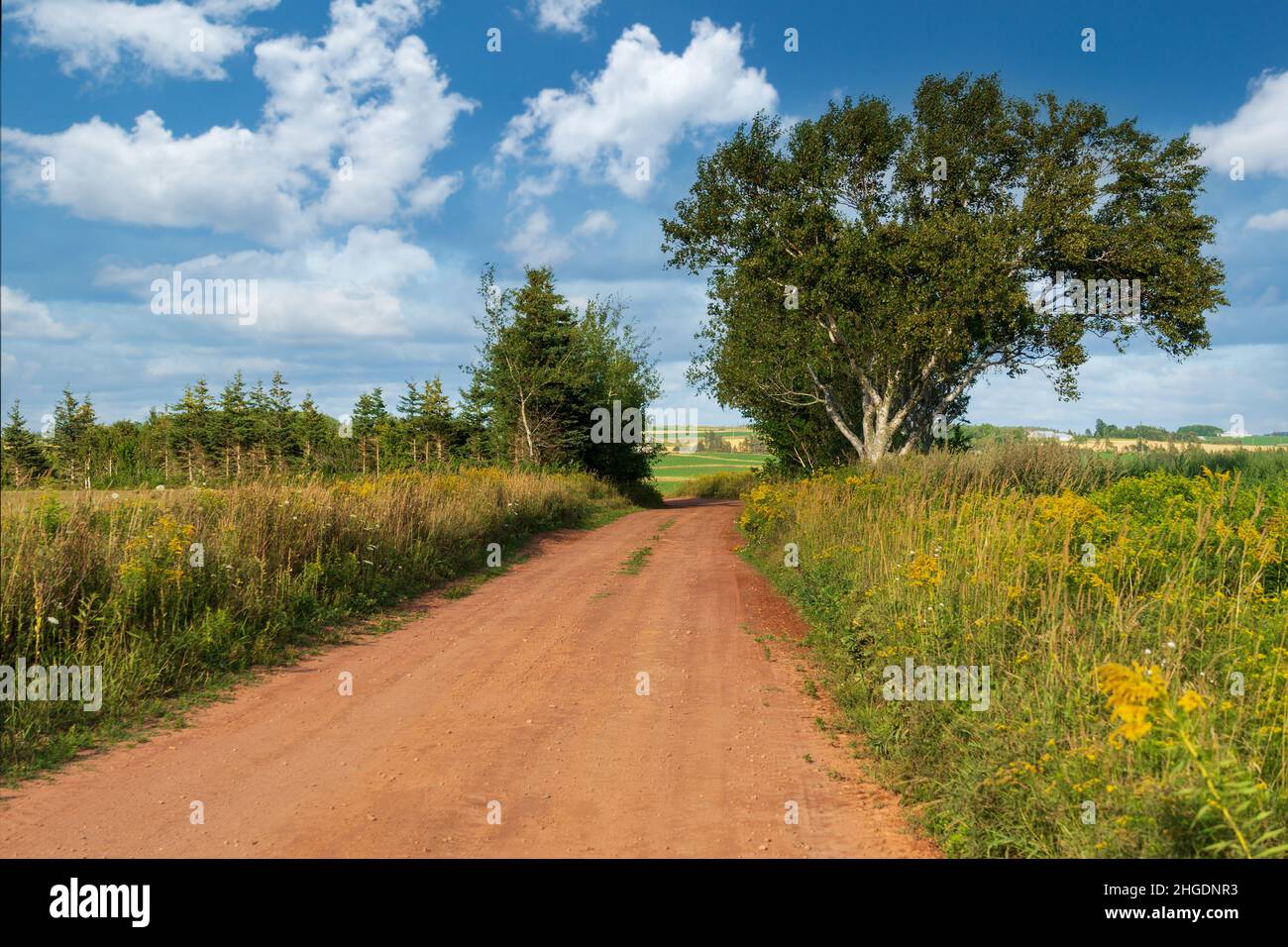 Caminos de tierra arcillosa que atraviesan tierras de labranza en la isla rural del Príncipe Eduardo, Canadá. Foto de stock