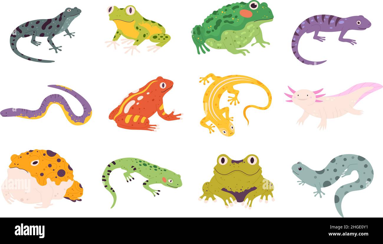 Dibujos animados anfibios exóticos y reptiles, lagartos, trotones, sapos y ranas. Animales tropicales, gecko, tritón, salamandra y conjunto de vectores axolotl Ilustración del Vector