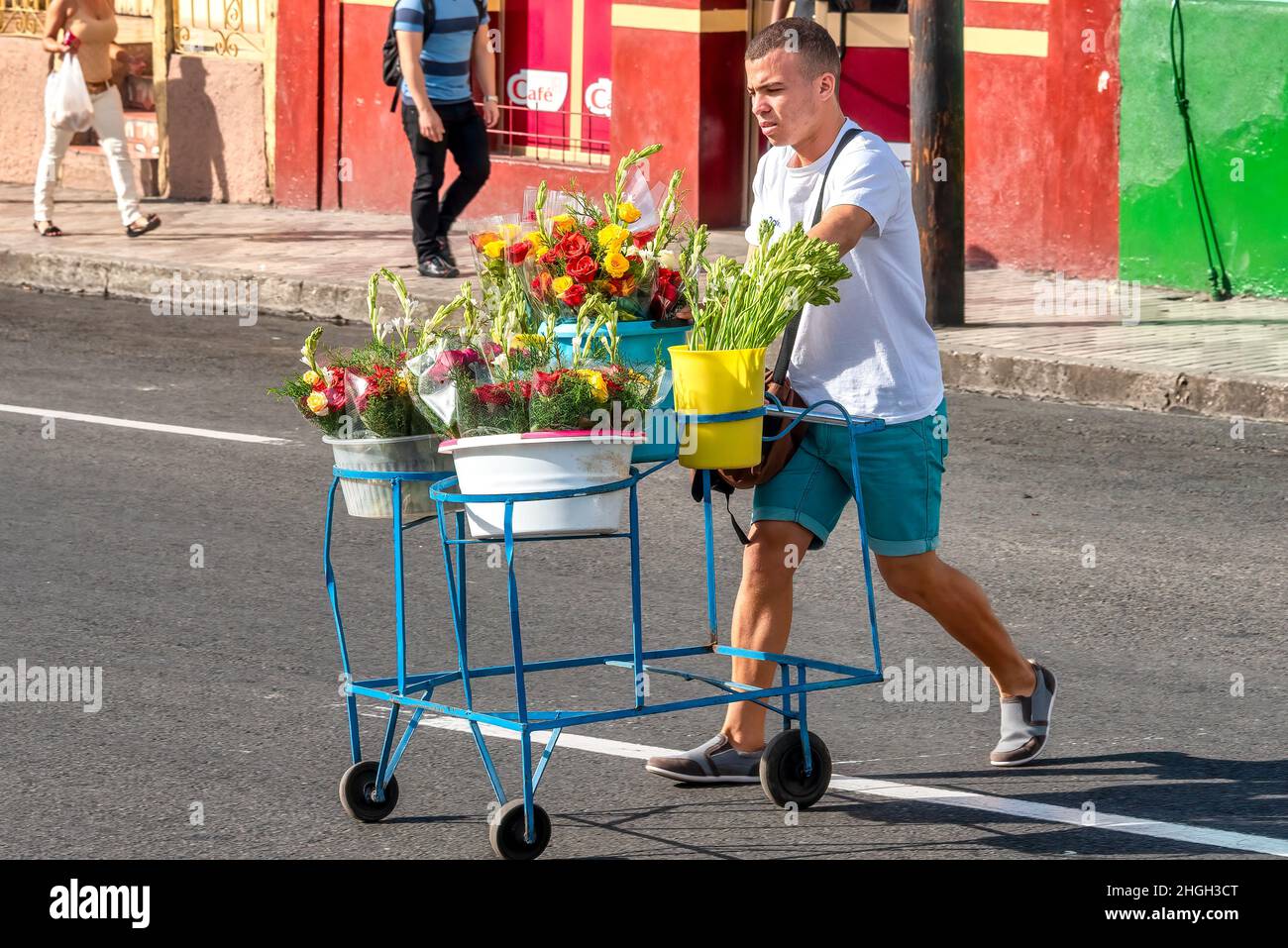 Un hombre cubano empuja un carro lleno de flores diversas para venderlo en  la Plaza de Marte. Estilo de vida de la gente real Fotografía de stock -  Alamy