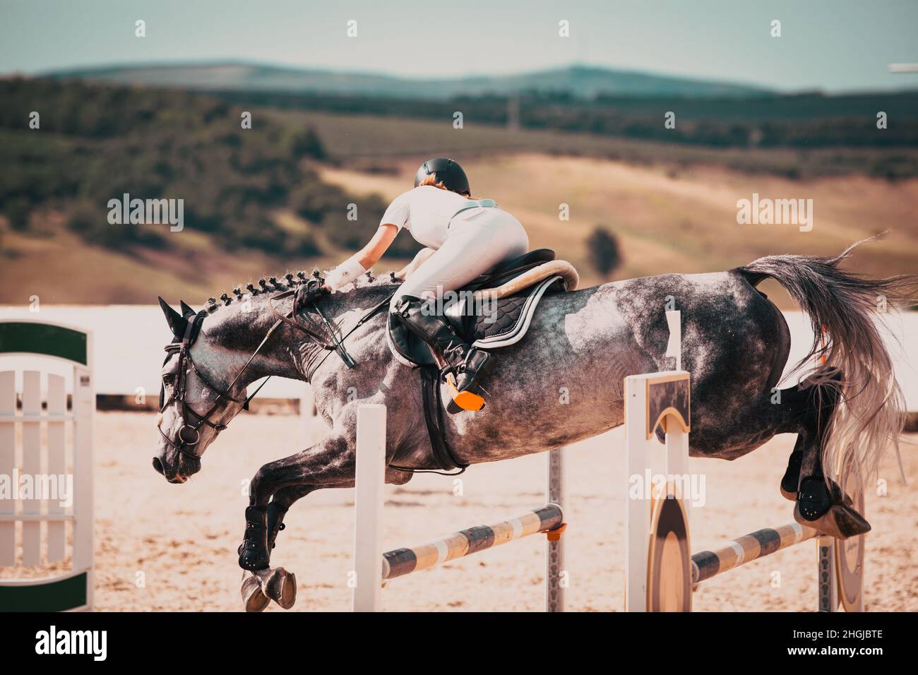 competidor y su caballo saltando en un concurso ecuestre Foto de stock