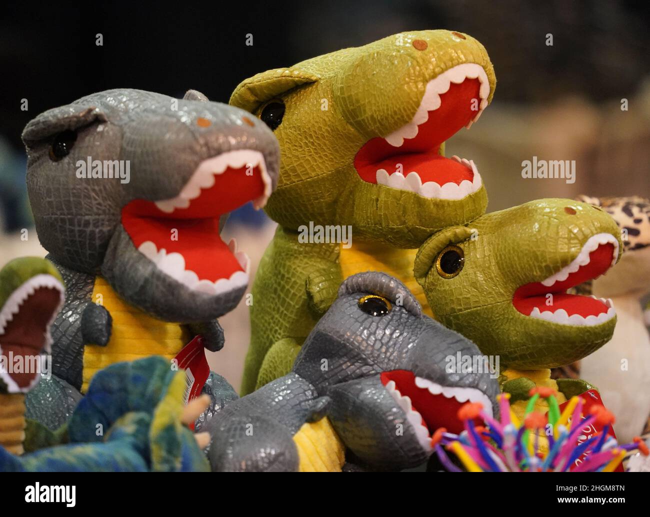 Semicírculo Pocos visitar St. Louis, Estados Unidos. 21st de Ene de 2022. Juguetes plásticos de  dinosaurio se sientan en la tienda de regalos para la venta en el paseo  Dino & Dragon en el Centro