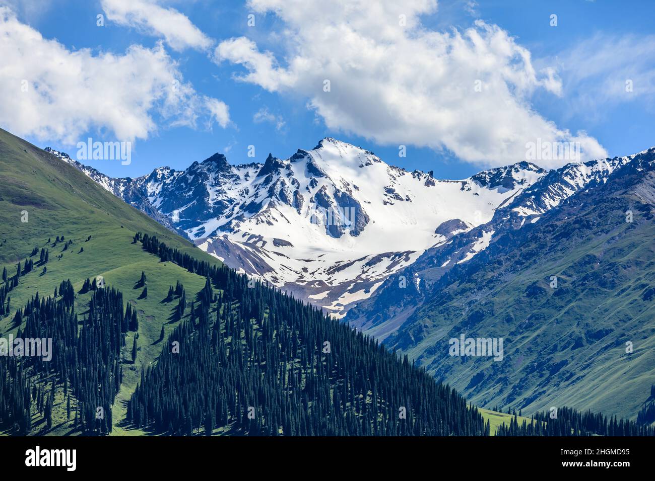 Hermosas montañas de nieve y césped verde con bosque Foto de stock