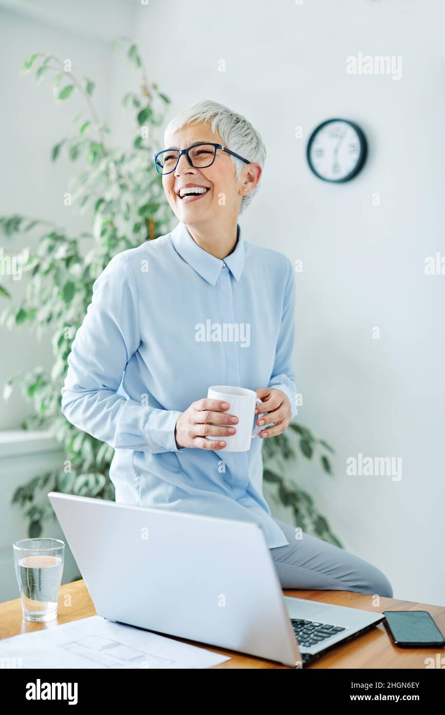 mujer de negocios mayor maduro cabello gris retrato oficina ejecutivo sonriente belleza Foto de stock