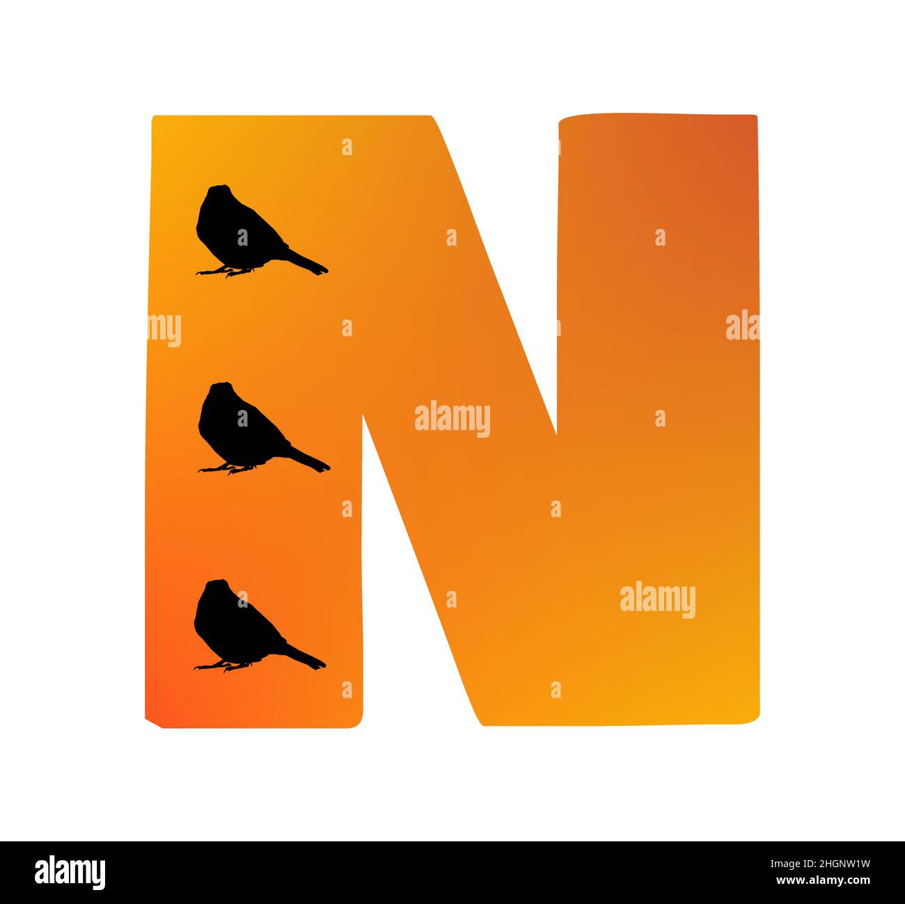 Letra N del alfabeto hecha con color naranja y tres siluetas de aves, aisladas sobre fondo blanco; vector Ilustración del Vector