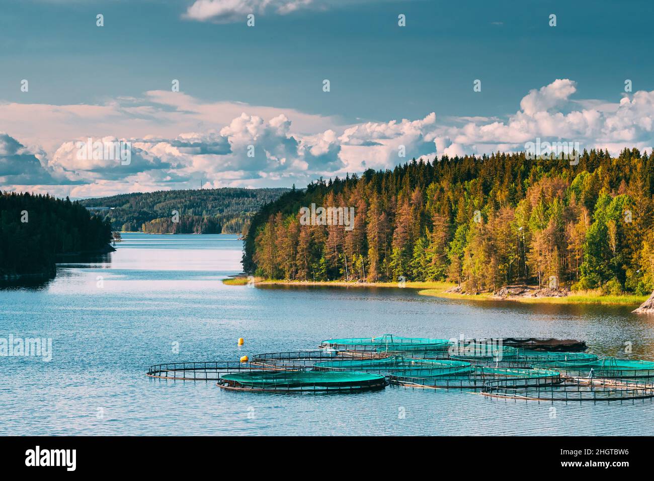 Pesca, Granja de Pescado en el Lago de Verano o Río en el hermoso día soleado de verano. Naturaleza Sueca, Suecia. Pesca, piscifactoría en lago de verano o río adentro Foto de stock
